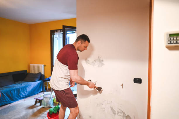 Best Post-Remediation Services in Brentwood, MD